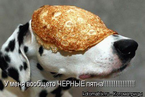 У меня вообщето ЧЕРНЫЕ пятна!!!!!!!!!!!!!!!!!!... Котоматрица: У меня вообщето ЧЕРНЫЕ пятна!!!!!!!!!!!!!!!!!!