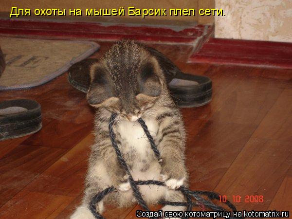 Для охоты на мышей Барсик плел сети.... Котоматрица: Для охоты на мышей Барсик плел сети.