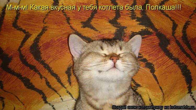 М-м-м! Какая вкусная у тебя котлета была, Полкаша!!!... Котоматрица: М-м-м! Какая вкусная у тебя котлета была, Полкаша!!!