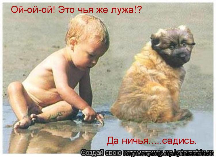 Ой-ой-ой! Это чья же лужа!? Да ничья.....садись.... Котоматрица: Ой-ой-ой! Это чья же лужа!? Да ничья.....садись.