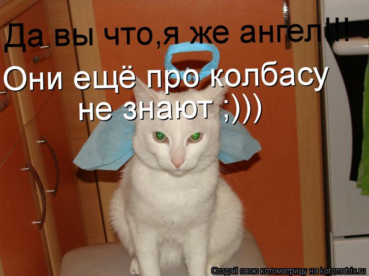 Да вы что,я же ангел!!! Они ещё про колбасу не знают ;)))... Котоматрица: Да вы что,я же ангел!!! Они ещё про колбасу не знают ;)))