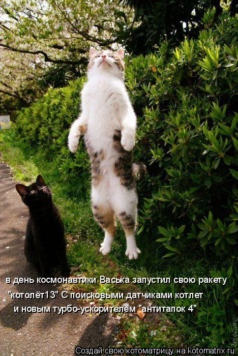 в день космонавтики Васька запустил свою ракету "котолёт13" С поисковыми датчиками котлет и новым тур... Котоматрица: в день космонавтики Васька запустил свою ракету "котолёт13" С поисковыми датчиками котлет и новым турбо-ускорителем "антитапок 4"