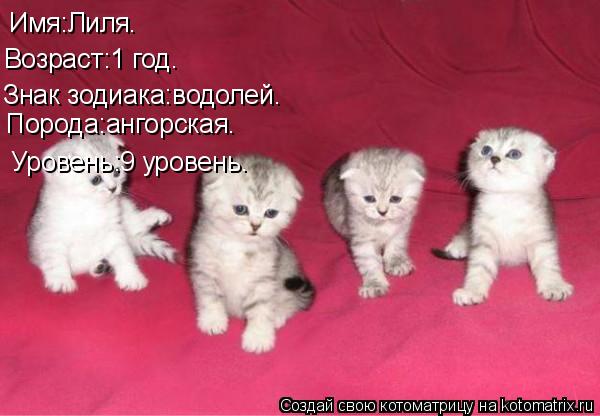 Имя:Лиля. Возраст:1 год. Знак зодиака:водолей. Порода:ангорская. Уровень:9 уровень.... Котоматрица: Имя:Лиля. Возраст:1 год. Знак зодиака:водолей. Порода:ангорская. Уровень:9 уровень.