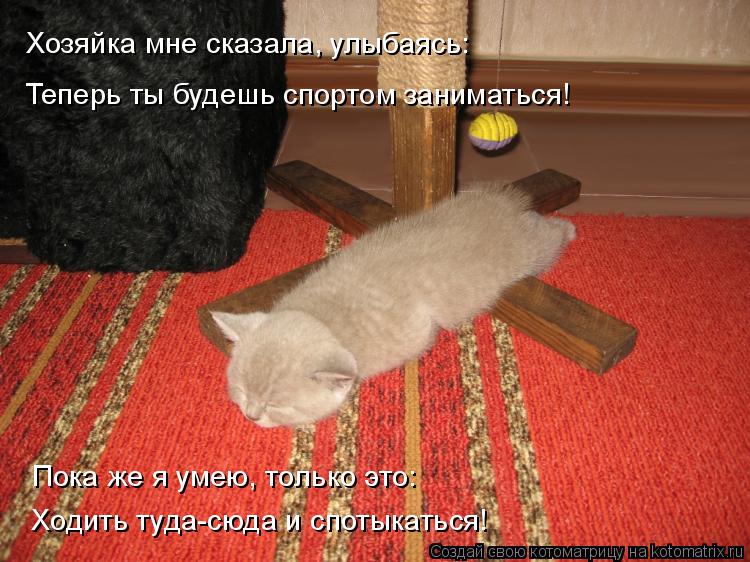 Хозяйка мне сказала, улыбаясь: Теперь ты будешь спортом заниматься! Ходить туда-сюда и спотыкаться! П... Котоматрица: Хозяйка мне сказала, улыбаясь: Теперь ты будешь спортом заниматься! Ходить туда-сюда и спотыкаться! Пока же я умею, только это: