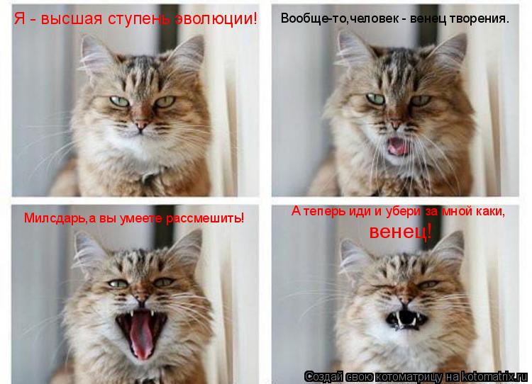 Я - высшая ступень эволюции! Вообще-то,человек - венец творения. А теперь иди и убери за мной каки, в... Котоматрица: Я - высшая ступень эволюции! Вообще-то,человек - венец творения. А теперь иди и убери за мной каки, венец! Милсдарь,а вы умеете рассмешить!