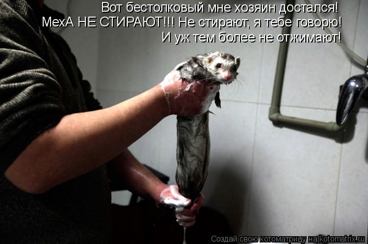 Вот бестолковый мне хозяин достался! МехА НЕ СТИРАЮТ!!! Не стирают, я тебе говорю! И уж тем более не ... Котоматрица: Вот бестолковый мне хозяин достался! МехА НЕ СТИРАЮТ!!! Не стирают, я тебе говорю! И уж тем более не отжимают!