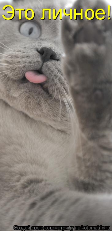 Это личное!... Котоматрица: Это личное!