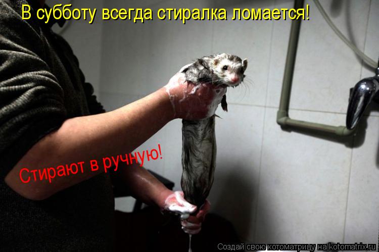 В субботу всегда стиралка ломается! Стирают в ручную!... Котоматрица: В субботу всегда стиралка ломается! Стирают в ручную!