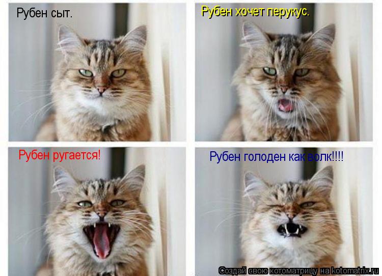 Рубен сыт. Рубен хочет перукус. Рубен ругается! Рубен голоден как волк!!!!... Котоматрица: Рубен сыт. Рубен хочет перукус. Рубен ругается! Рубен голоден как волк!!!!