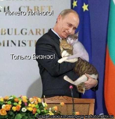 Ничего личного! Только Бизнэс!... Котоматрица: Ничего личного! Только Бизнэс!