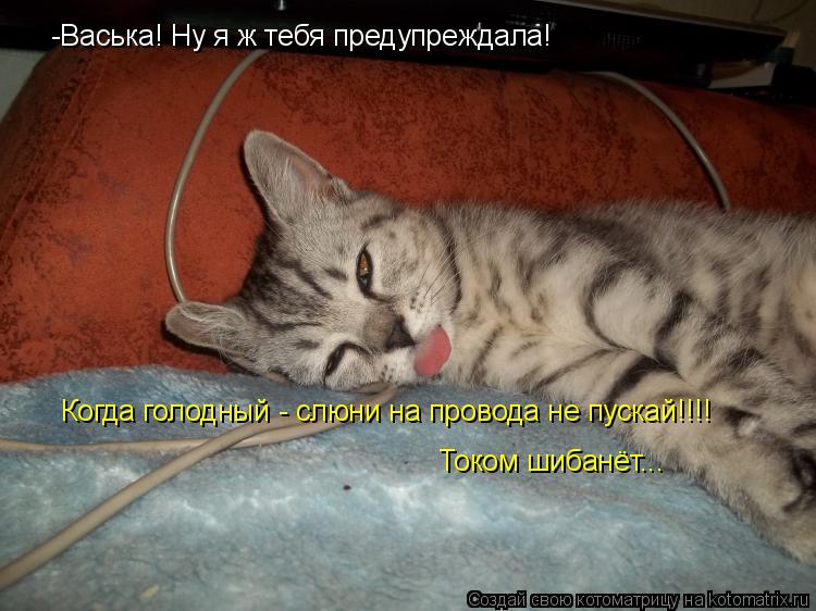 -Васька! Ну я ж тебя предупреждала! Когда голодный - слюни на провода не пускай!!!! Током шибанёт..... Котоматрица: -Васька! Ну я ж тебя предупреждала! Когда голодный - слюни на провода не пускай!!!! Током шибанёт...