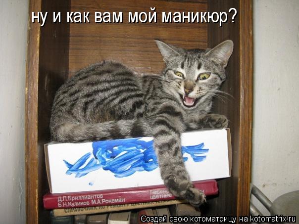 ну и как вам мой маникюр?... Котоматрица: ну и как вам мой маникюр?