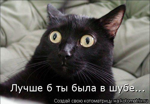 Лучше б ты была в шубе...... Котоматрица: Лучше б ты была в шубе...