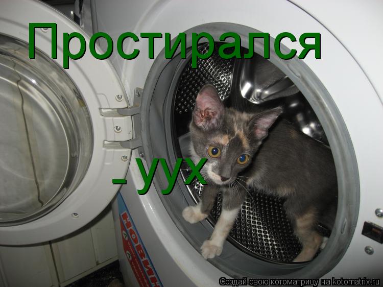 Простирался уух -... Котоматрица: Простирался уух -