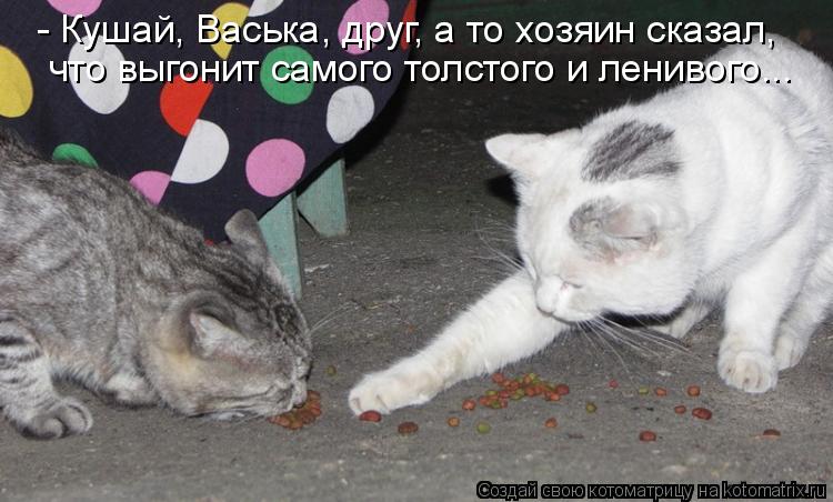 - Кушай, Васька, друг, а то хозяин сказал, что выгонит самого толстого и ленивого...... Котоматрица: - Кушай, Васька, друг, а то хозяин сказал, что выгонит самого толстого и ленивого...