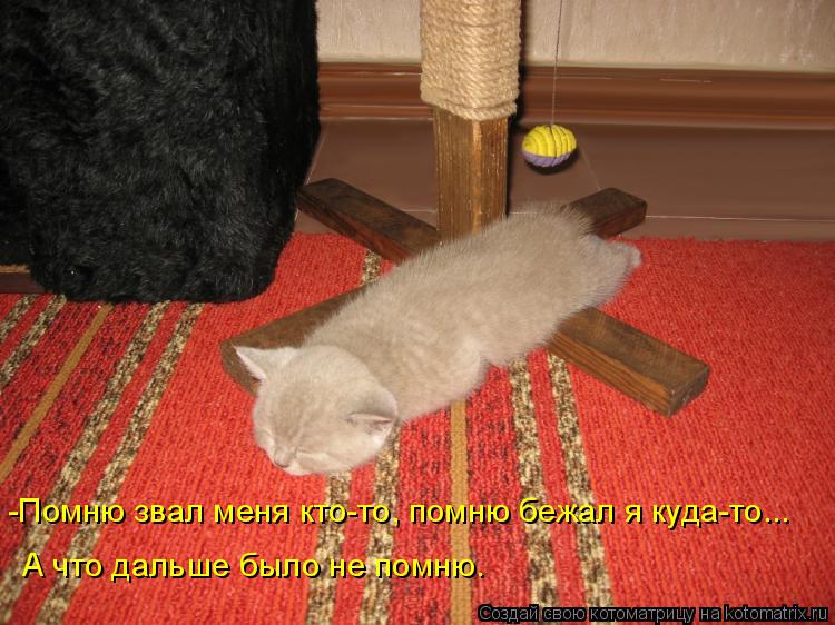 -Помню звал меня кто-то, помню бежал я куда-то... А что дальше было не помню.... Котоматрица: -Помню звал меня кто-то, помню бежал я куда-то... А что дальше было не помню.