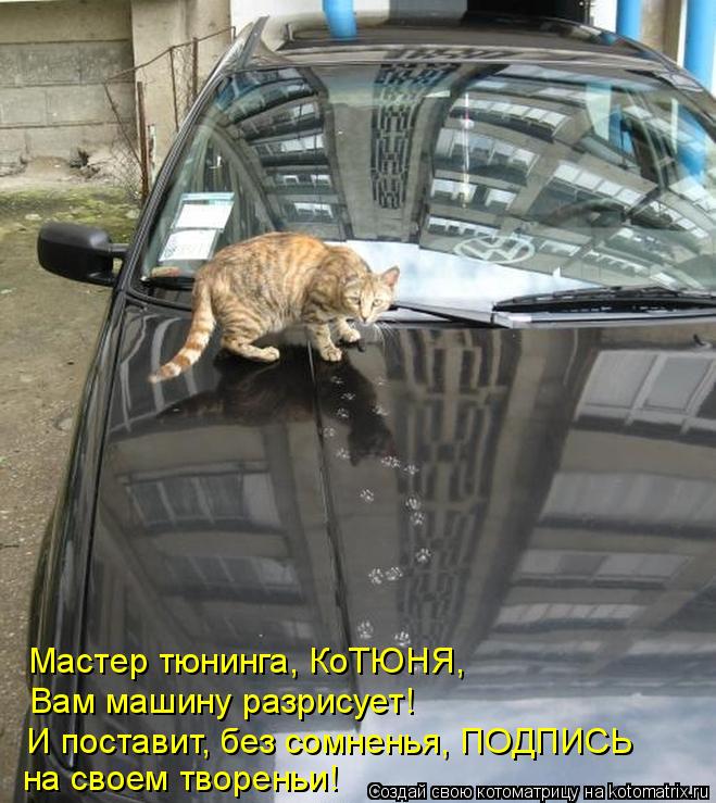 Мастер тюнинга, КоТЮНЯ, Вам машину разрисует! И поставит, без сомненья, ПОДПИСЬ на своем твореньи!... Котоматрица: Мастер тюнинга, КоТЮНЯ, Вам машину разрисует! И поставит, без сомненья, ПОДПИСЬ на своем твореньи!