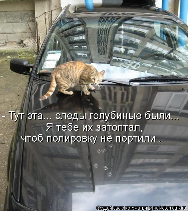 - Тут эта... следы голубиные были... Я тебе их затоптал, чтоб полировку не портили...... Котоматрица: - Тут эта... следы голубиные были... Я тебе их затоптал, чтоб полировку не портили...