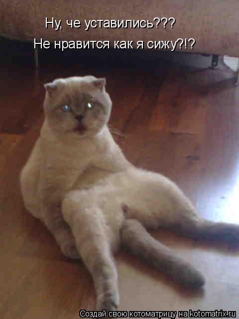 Ну, че уставились??? Не нравится как я сижу?!?... Котоматрица: Ну, че уставились??? Не нравится как я сижу?!?