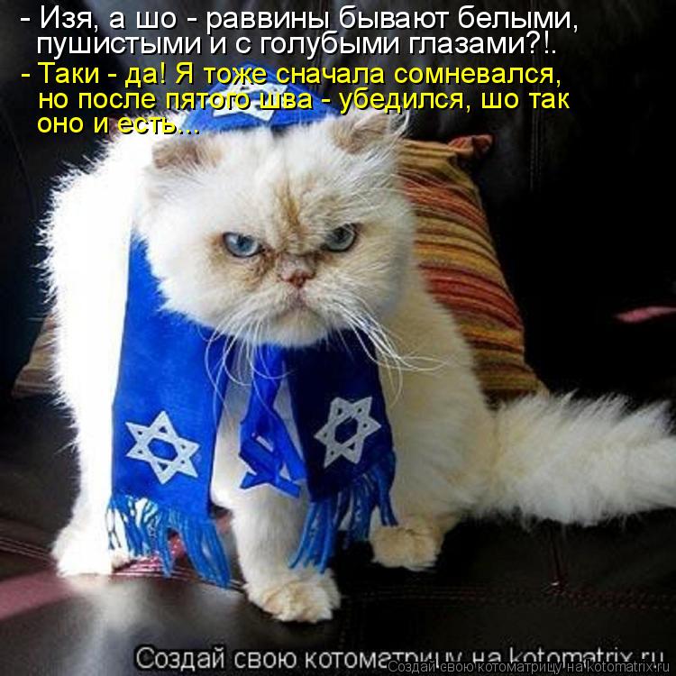- Изя, а шо - раввины бывают белыми, пушистыми и с голубыми глазами?!. - Таки - да! Я тоже сначала с... Котоматрица: - Изя, а шо - раввины бывают белыми, пушистыми и с голубыми глазами?!. - Таки - да! Я тоже сначала сомневался, но после пятого шва - убедился, шо т