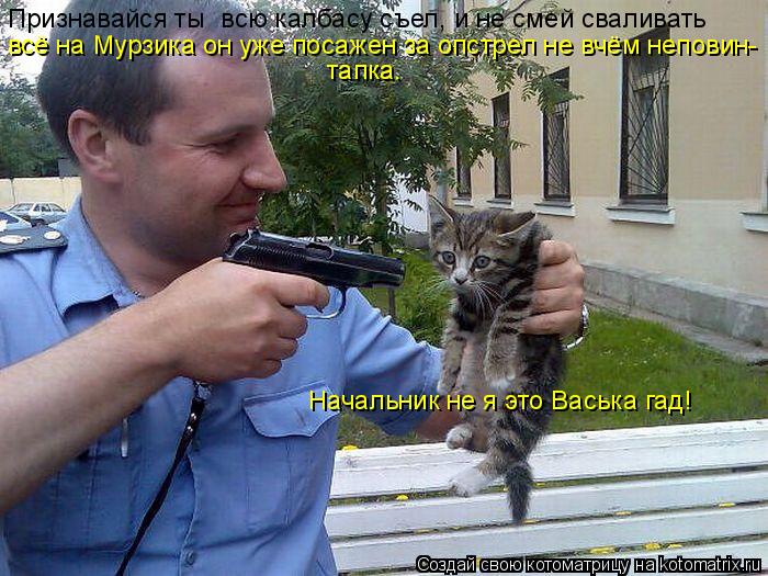 Признавайся ты всю калбасу съел, и не смей сваливать всё на Мурзика он уже посажен за опстрел не вч... Котоматрица: Признавайся ты всю калбасу съел, и не смей сваливать всё на Мурзика он уже посажен за опстрел не вчём неповин- тапка. тапка. Начальник не я э