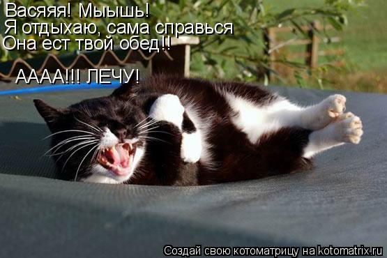 Васяяя! Мыышь! Я отдыхаю, сама справься Она ест твой обед!! АААА!!! ЛЕЧУ!... Котоматрица: Васяяя! Мыышь! Я отдыхаю, сама справься Она ест твой обед!! АААА!!! ЛЕЧУ!