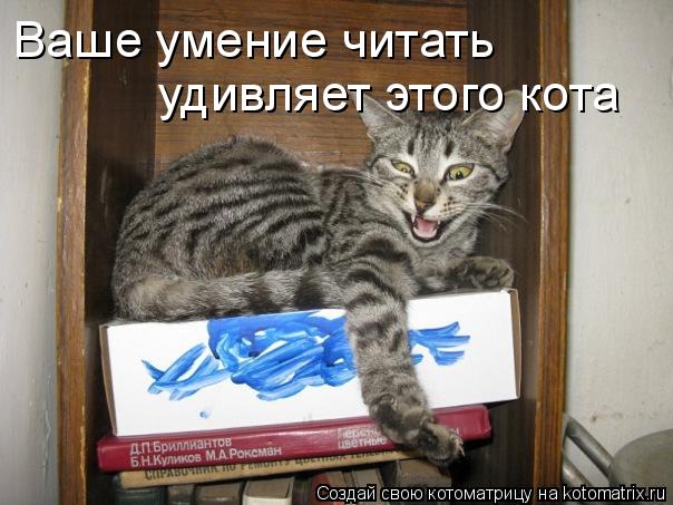 Ваше умение читать удивляет этого кота... Котоматрица: Ваше умение читать удивляет этого кота