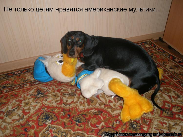 Не только детям нравятся американские мультики...... Котоматрица: Не только детям нравятся американские мультики...