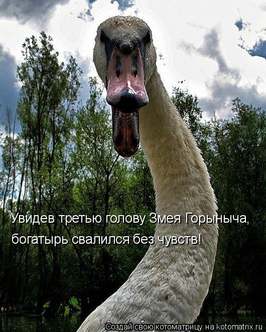 Увидев третью голову Змея Горыныча, богатырь свалился без чувств!... Котоматрица: Увидев третью голову Змея Горыныча, богатырь свалился без чувств!