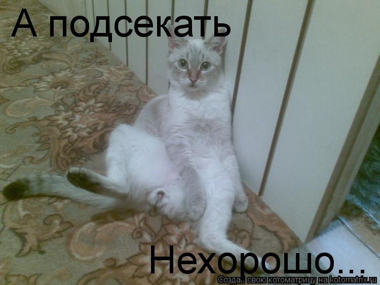 А подсекать Нехорошо...... Котоматрица: А подсекать Нехорошо...