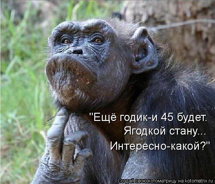"Ещё годик-и 45 будет. Ягодкой стану... Интересно-какой?"... Котоматрица: "Ещё годик-и 45 будет. Ягодкой стану... Интересно-какой?"