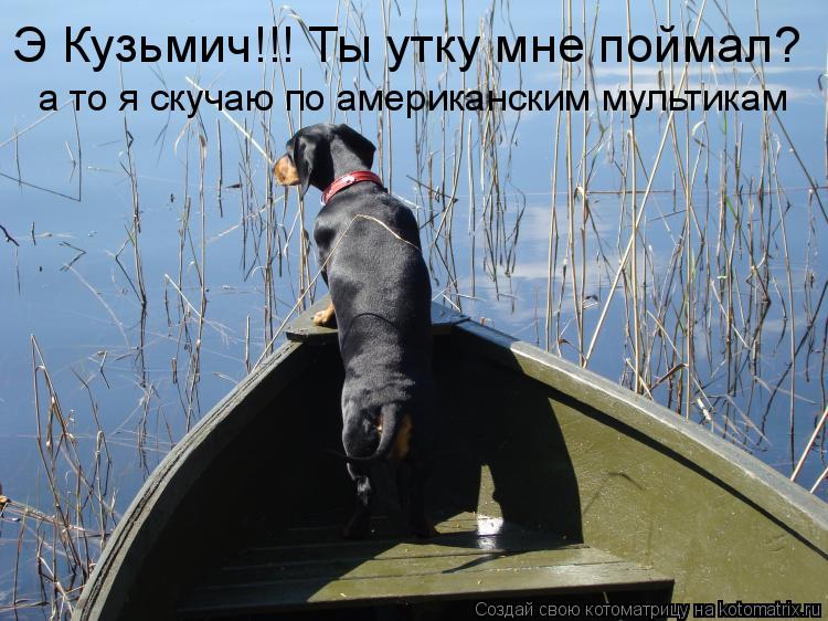 Э Кузьмич!!! Ты утку мне поймал? а то я скучаю по американским мультикам... Котоматрица: Э Кузьмич!!! Ты утку мне поймал? а то я скучаю по американским мультикам