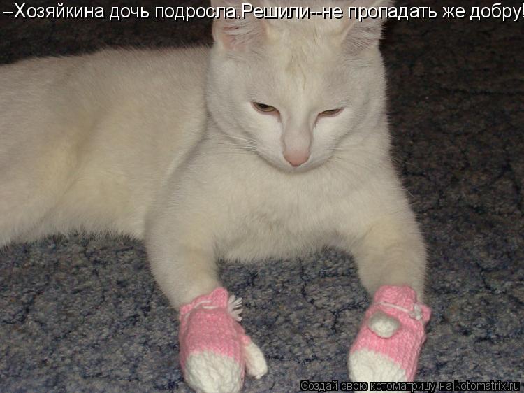 --Хозяйкина дочь подросла.Решили--не пропадать же добру!... Котоматрица: --Хозяйкина дочь подросла.Решили--не пропадать же добру!