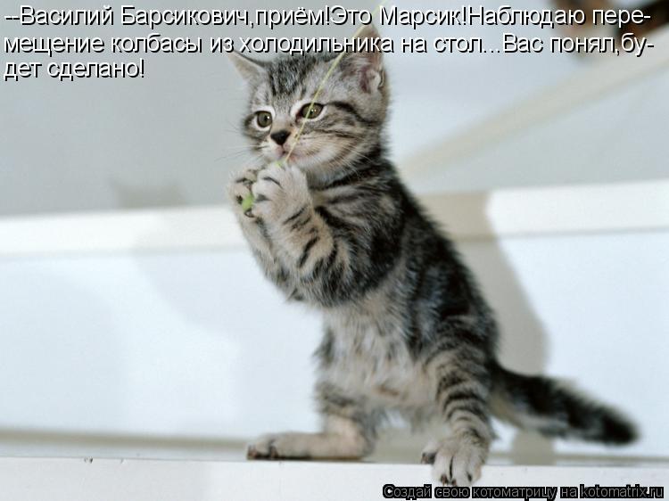 --Василий Барсикович,приём!Это Марсик!Наблюдаю пере- мещение колбасы из холодильника на стол...Вас по... Котоматрица: --Василий Барсикович,приём!Это Марсик!Наблюдаю пере- мещение колбасы из холодильника на стол...Вас понял,бу- дет сделано!