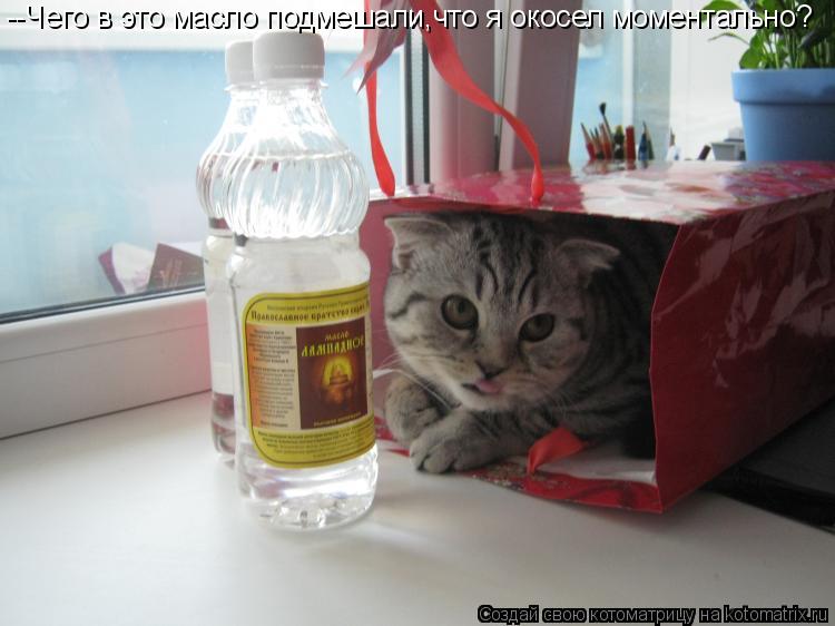 --Чего в это масло подмешали,что я окосел моментально?... Котоматрица: --Чего в это масло подмешали,что я окосел моментально?