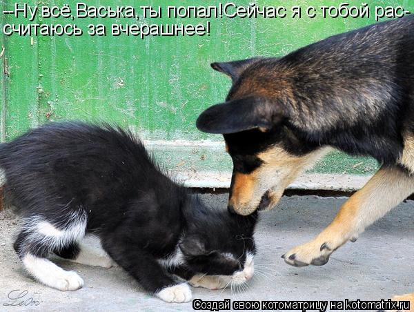 --Ну всё,Васька,ты попал!Сейчас я с тобой рас- считаюсь за вчерашнее!... Котоматрица: --Ну всё,Васька,ты попал!Сейчас я с тобой рас- считаюсь за вчерашнее!