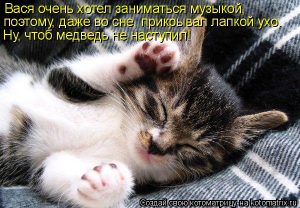Вася очень хотел заниматься музыкой, поэтому, даже во сне, прикрывал лапкой ухо. Ну, чтоб медведь н... Котоматрица: Вася очень хотел заниматься музыкой, поэтому, даже во сне, прикрывал лапкой ухо. Ну, чтоб медведь не наступил!