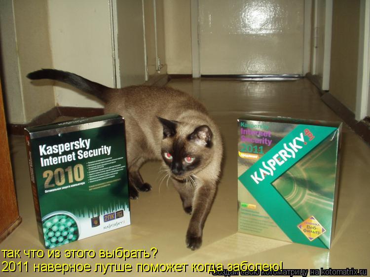 так что из этого выбрать? 2011 наверное лутше поможет когда заболею!... Котоматрица: так что из этого выбрать? 2011 наверное лутше поможет когда заболею!