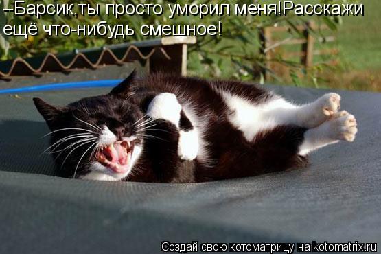 --Барсик,ты просто уморил меня!Расскажи ещё что-нибудь смешное!... Котоматрица: --Барсик,ты просто уморил меня!Расскажи ещё что-нибудь смешное!