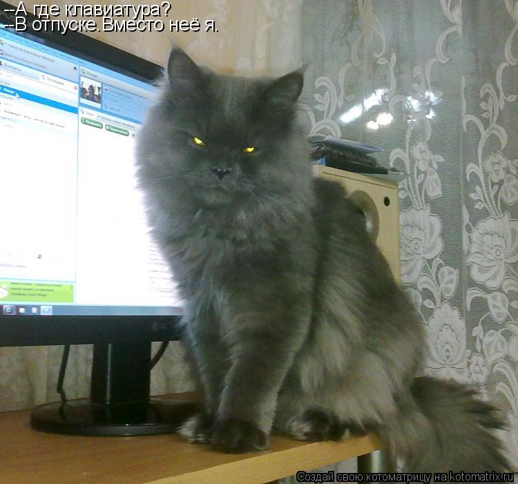 --А где клавиатура? --В отпуске.Вместо неё я.... Котоматрица: --А где клавиатура? --В отпуске.Вместо неё я.