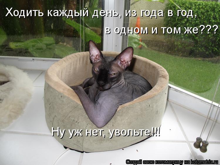 Ходить каждый день, из года в год, в одном и том же??? Ну уж нет, увольте!!!... Котоматрица: Ходить каждый день, из года в год, в одном и том же??? Ну уж нет, увольте!!!