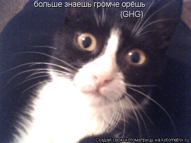 больше знаешь громче орёшь (GHG)... Котоматрица: больше знаешь громче орёшь (GHG)