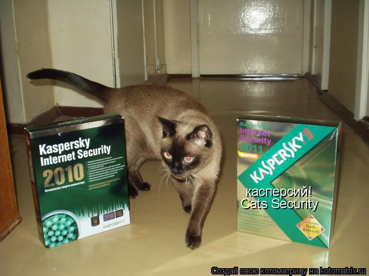 касперсий! Cats Security... Котоматрица: касперсий! Cats Security