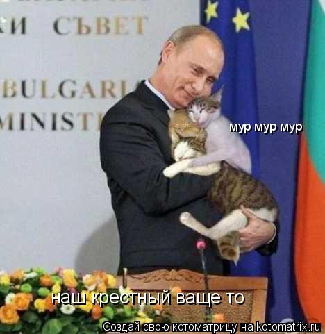 наш крестный ваще то мур мур мур... Котоматрица: наш крестный ваще то мур мур мур
