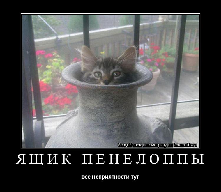 Ящик Пенелоппы все неприятности тут... Котоматрица: Ящик Пенелоппы все неприятности тут