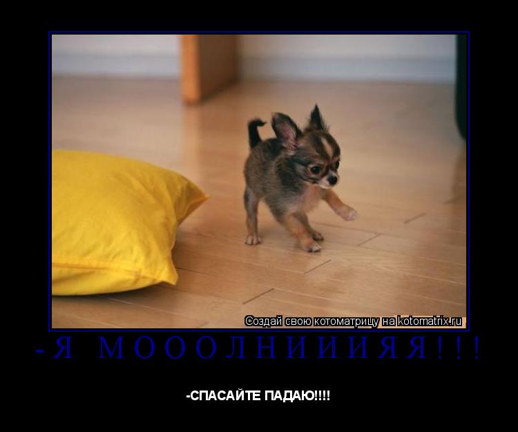 -Я МОООЛНИИИЯЯ!!! -СПАСАЙТЕ ПАДАЮ!!!!... Котоматрица: -Я МОООЛНИИИЯЯ!!! -СПАСАЙТЕ ПАДАЮ!!!!