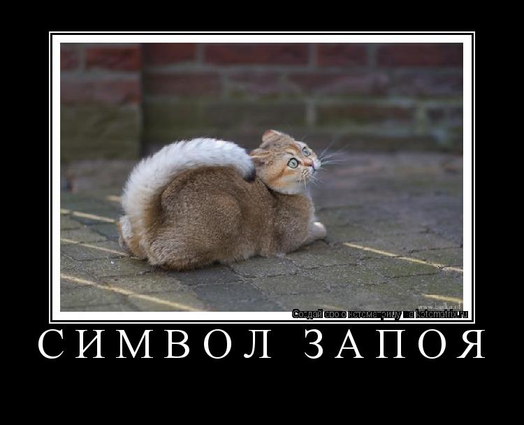 Символ запоя ... Котоматрица: Символ запоя