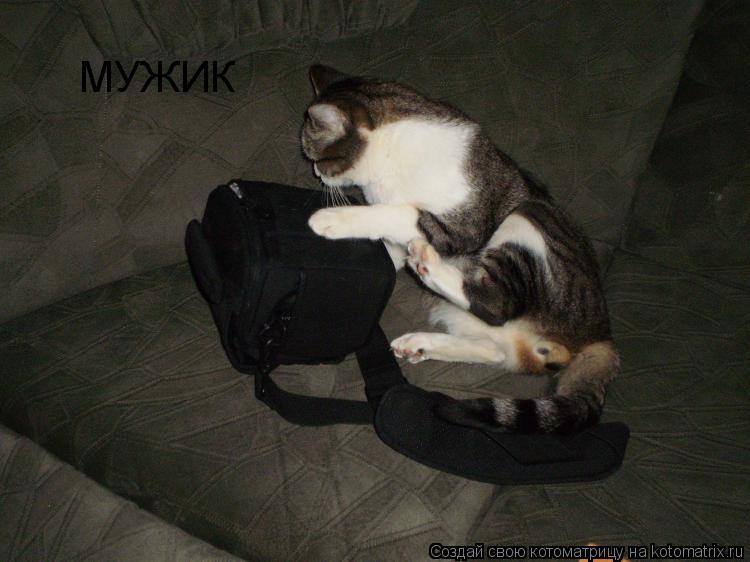 МУЖИК... Котоматрица: МУЖИК