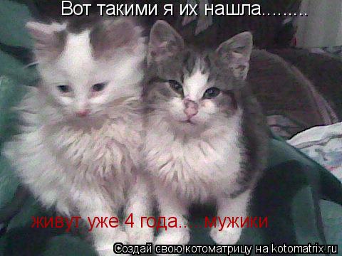 Вот такими я их нашла......... Вот такими я их нашла.........живут уже 4 года.....мужики живут уже 4 ... Котоматрица: Вот такими я их нашла......... Вот такими я их нашла.........живут уже 4 года.....мужики живут уже 4 года.....мужики