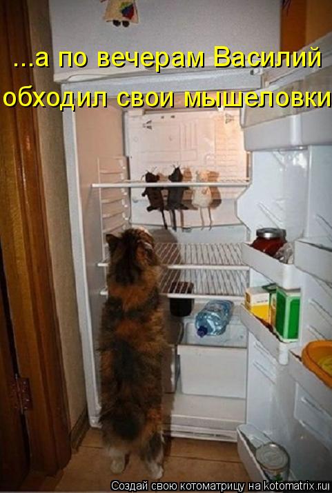 ...а по вечерам Василий обходил свои мышеловки.... Котоматрица: ...а по вечерам Василий обходил свои мышеловки.